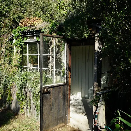 Retaise Face - Willa Sainte-Marie-de-Ré